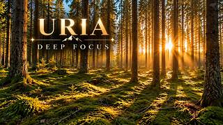 Enter Deep Focus  Peaceful Forest Music for Work, Study & Flow #focusmusic  #ceomode #uriadeepfocus