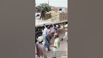 Smart Way || Workers unloading cement bags