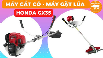 Máy cắt cỏ | Máy gặt lúa honda gx35 cầm tay mini chạy xăng | Máy nông nghiệp Phúc Minh Tiến