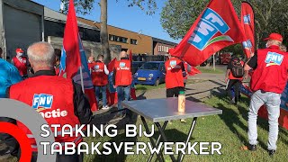 Personeel Tabaksverwerker Staakt Voor 24 Uur