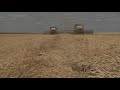 Дефицита зерна в Казахстане не будет – эксперты