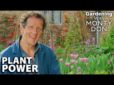Plant Fragrances 🌷 | FULL EPISODES | Season 6 | Gardeners' World | Gardening With Monty Don
