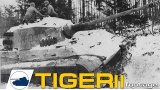 Tiger II 