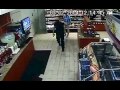 Police video: Passengers leave car suspected in Battlefield Park vandalism