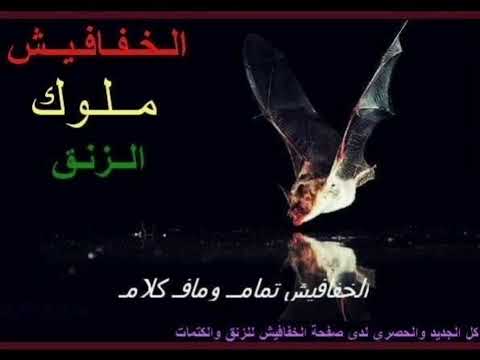 ذكريات الكون طارق بنه مفرتك الامه اتوقع مني حركات زنق سوداني