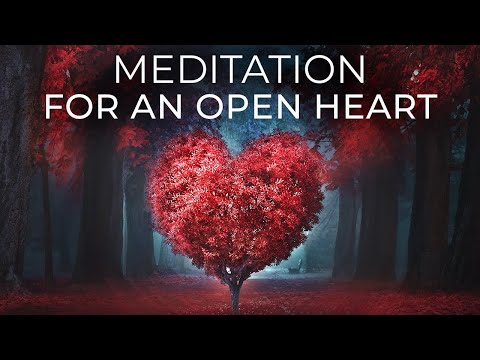 Meditation for an Open Heart | Sarah Blondin