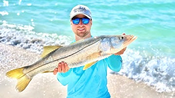 Beach Fishing Big Snook! (Catch & Cook)