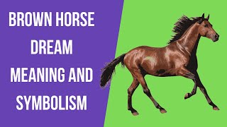 Brown Horse Dream Meaning And Symbolism - Dream About Horse: Interpretation And Meaning