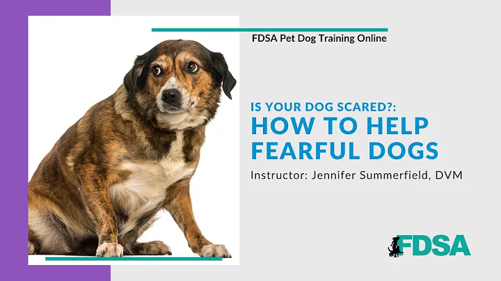 FDSA PDT: Jennifer Summerfield- Is Your Dog Scared...