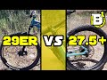 29er vs. 27.5 Plus - Which is better? - Tiddlywinks & Phil's Trail - Bend, Or - Mountain Biking