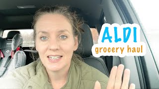 December's ALDI Grocery Haul + a house without walls by OsoFarm 5,124 views 4 months ago 17 minutes