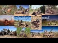 40 + Archery Killshots - African Bowhunting Compilation