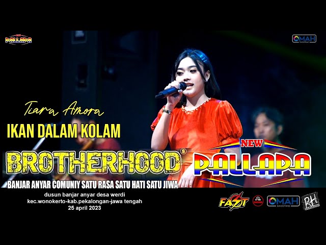 IKAN DALAM KOLAM - TIARA AMORA - NEW PALLAPA - LIVE BROTHERHOODS 2023 class=