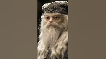 What If HARRY POTTER Characters Were Cats? 😻🐈