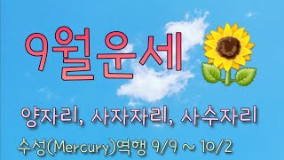 9월운세 ♈양 ♌사자 ♐사수자리. 변화에 대비하세요!