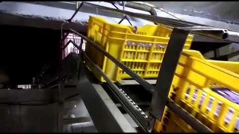 carat handling chain conveyors | chain crate loading conveyor machine | Crate handling conveyor
