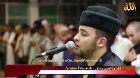 تلاوة لم اجد لها وصف - انس براق