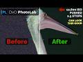 HIGH ISO NEVER LOOKED BETTER | Best Denoising, Demosaicing, Compression DXO PhotoLab 9.6 |Matt Irwin