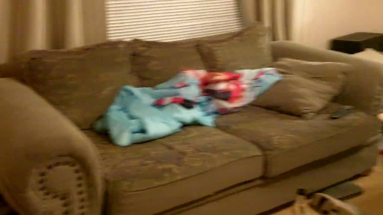 HouseBlog Update Day 1861-2