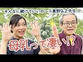 【迷信だらけの子育て⁉】2歳まで母乳のみでも育つ?子育ての概念がひっくり返る 豊受クリニック院長 自然派小児科医 高野弘之先生