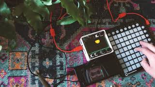 Myéline // Monome Norns / Novation Launchpad / Icarus script / Tracked to dictaphone