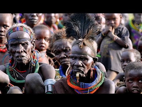 Video: Afrika Safariniz için En İyi Paket Listesi