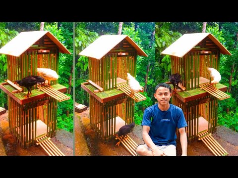 Cara Membuat Kandang Ayam Sederhana Dari Bambu