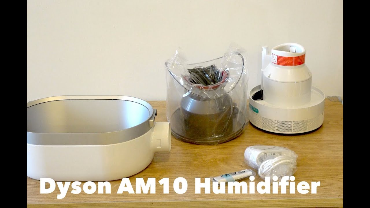 Should You Get the Futuristic Dyson AM10 Humidifier? 