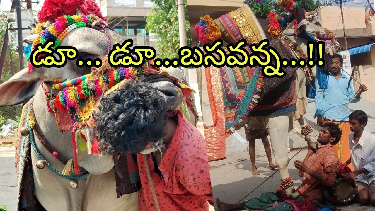 సంక్రాంతి గంగిరెద్దుల ఆటల విన్యాసాలు | Devotional Game Show On Sankranthi Festival | @CrazyyBoyVenky