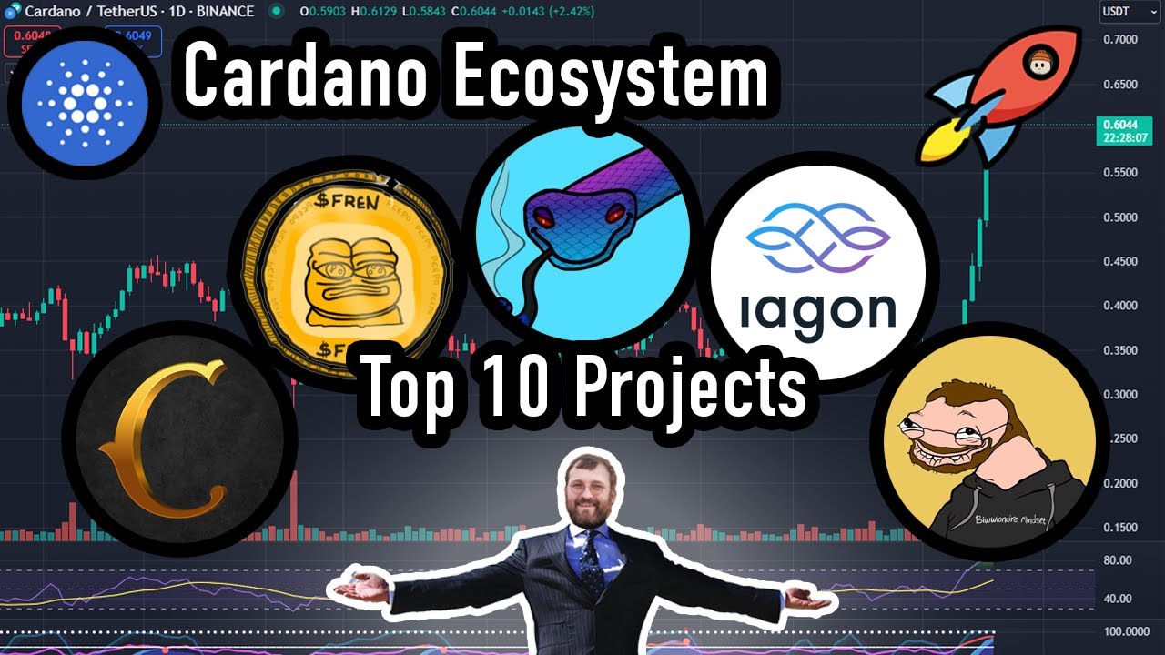 Cardano Ecosystem - Top 10 Projects for 2025