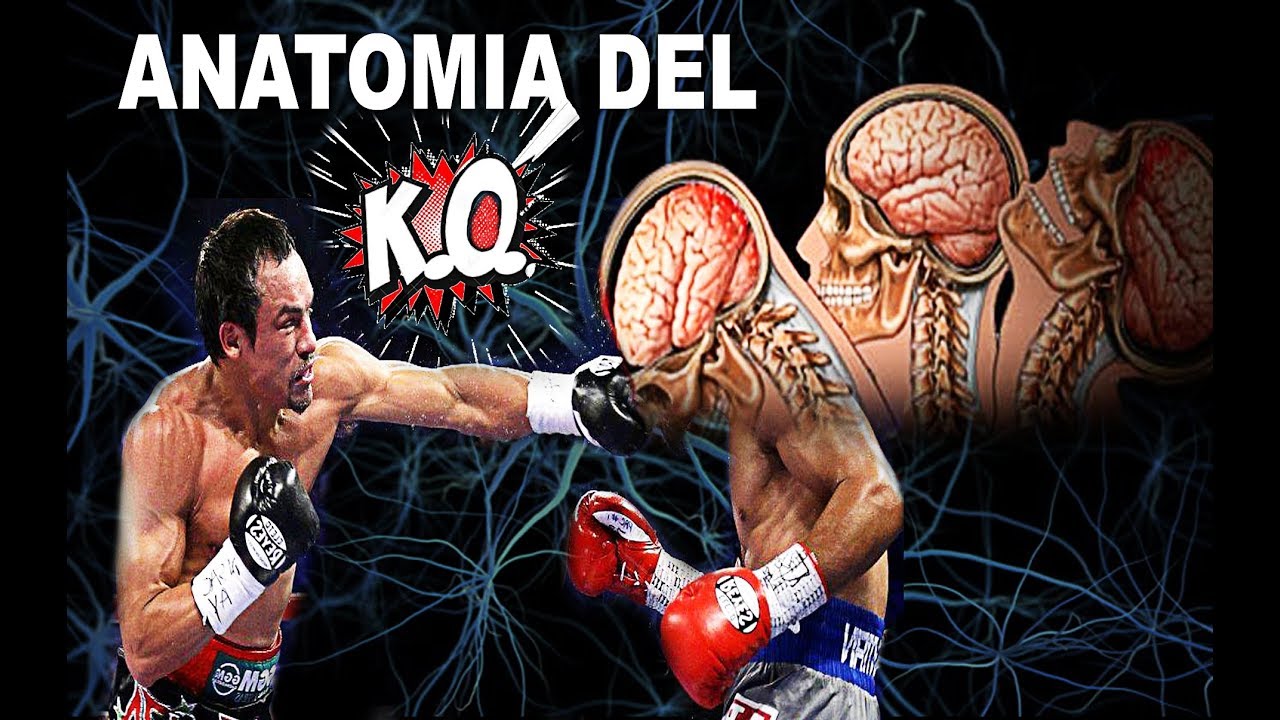 Golpes Asombrosos de Knockout