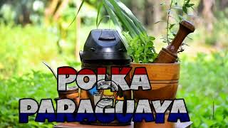 Miniatura de vídeo de "POLKA KYRE'Y ❌️ POLKA PARAGUAYA 🇵🇾 🎧⬆️"