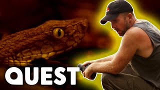 Deadly Snake Corners A Treasure Hunters Inside A Cave! | Treasure Quest: Snake Island
