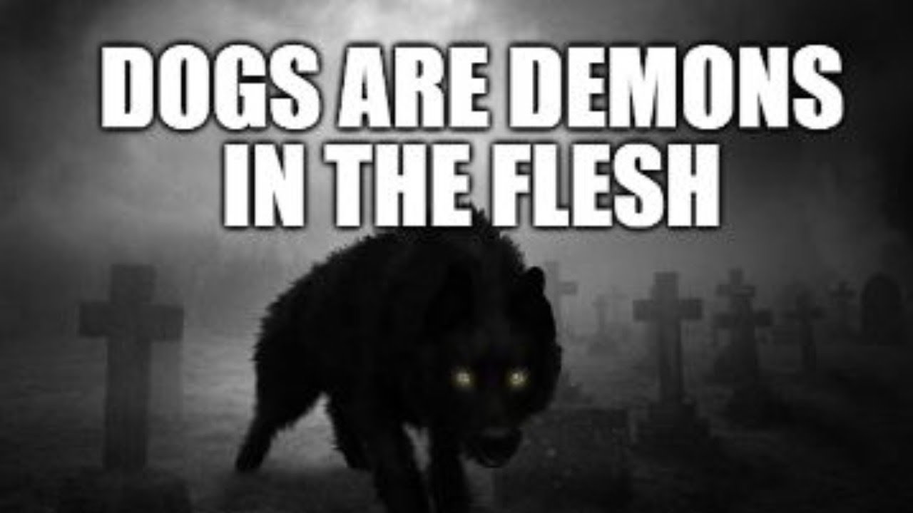 Dogs Are Demons Part 2 YouTube