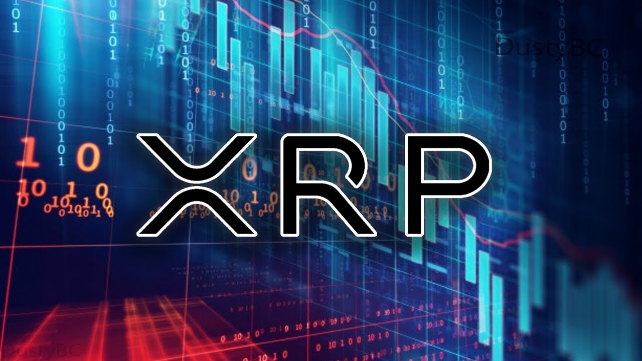 Ripple XRP News: We Finally Broke The Record, This Is ...