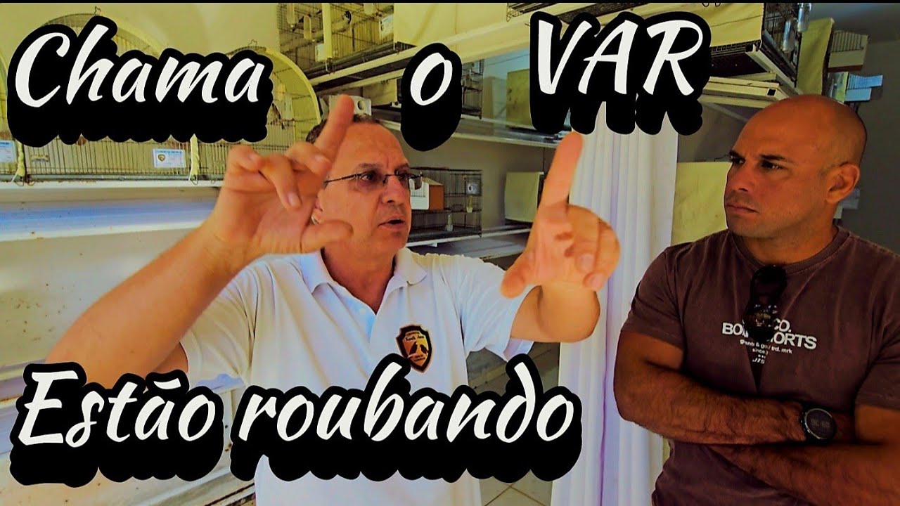 NOVIDADES NO CRIATÓRIO SANTA ANNA.