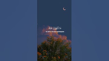 لاتهجروا القرآن الكريم ❤️❤️#islam #quran #قرآن