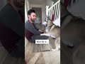 Dog Blessing the his owner after he sneezed