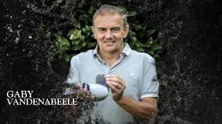 The Gaby pigeon total Auction  special top 10 pigeons with highest price of the auction