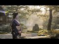 Lantern Alley Night Stillness • Geisha in Quiet Glow • Zen Ambient Loop