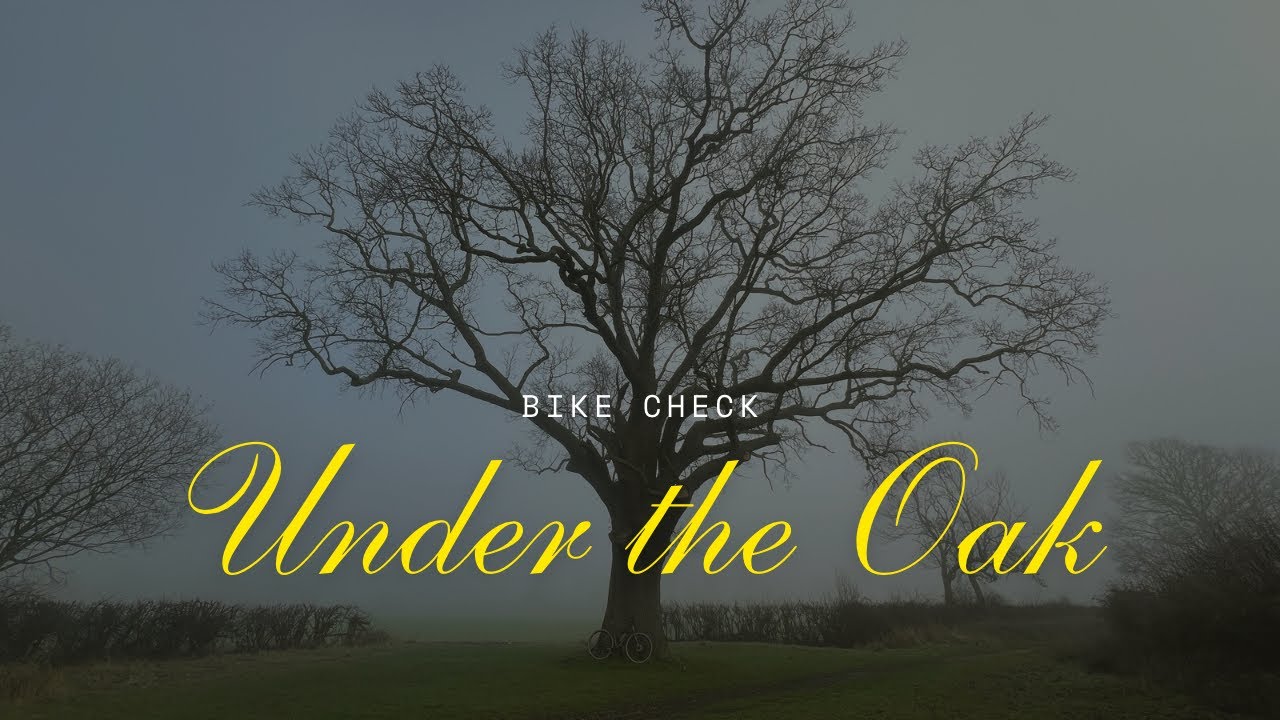 Bike Check, Oak Tree, and…World War II???