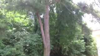 8550 Tidewater Drive Unit G1 Norfolk VA 23503 2BR/2.5BA Real Property Management Hampton Roads