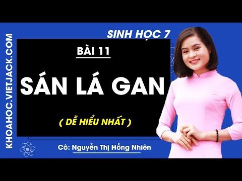 Video Sinh học 7 - Bài 11 - Sán lá gan - Cô Nguyễn Thị Hồng... - YouTube