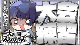 【大乱闘スマッシュブラザーズSP】最　終　練　習【長尾景/にじさんじ】