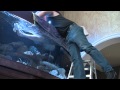 Tangs in the Bowfront Aquarium LA Fishguys Episode 135 pt 1