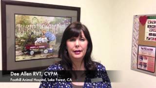 Rethink Veterinary Solutions- Turn Clients into Members