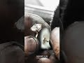 Unveiling The Most Lavish And Exquisite 5 4carats Decagon Diamond Engagement Ring Unveiling The Most Lavish And Exquisite 5 4carats Decagon Diamond Engagement Ring