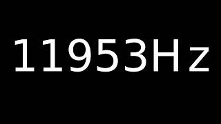Speaker Sound Test 11953Hz | Speaker cleaner sound