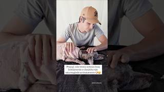 Pessoal, não temos notícias boas 🐶🥹