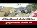 අලි|sin